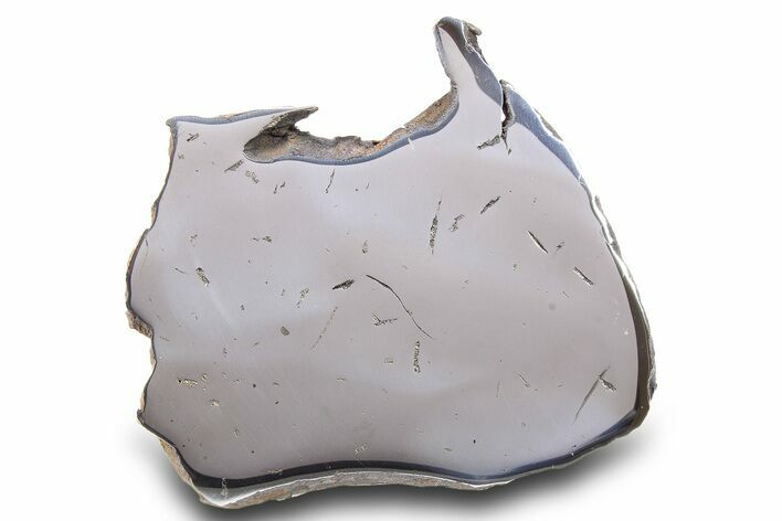 Gebel Kamil Iron Meteorite Slice ( g) - Egypt #284526